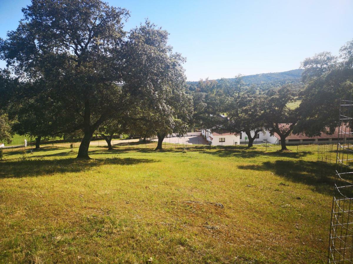 Casa Rural La Dehesilla Cazalla de la Sierra Kültér fotó